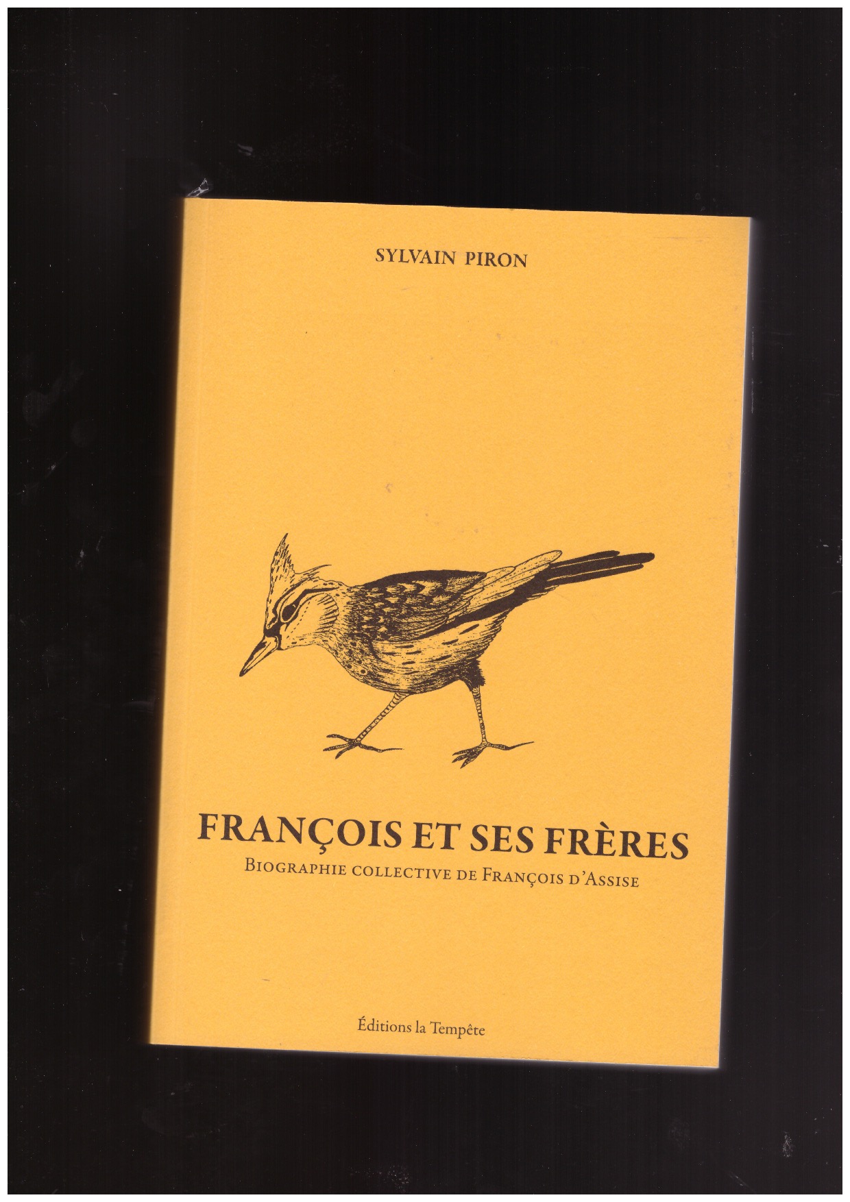 PIRON, Sylvain - François et ses frères